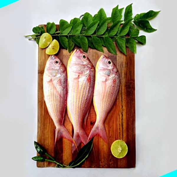 നവര | കിളിമീൻ | Navara | Pink Perch - 5KG