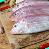നവര | കിളിമീൻ | Navara | Pink Perch - 5KG
