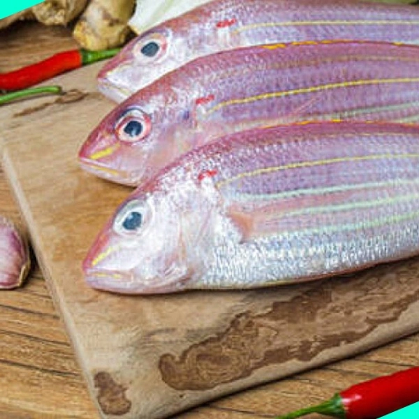 നവര | കിളിമീൻ | Navara | Pink Perch - 5KG