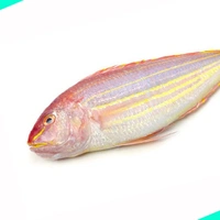നവര | കിളിമീൻ | Navara | Pink Perch - 5KG