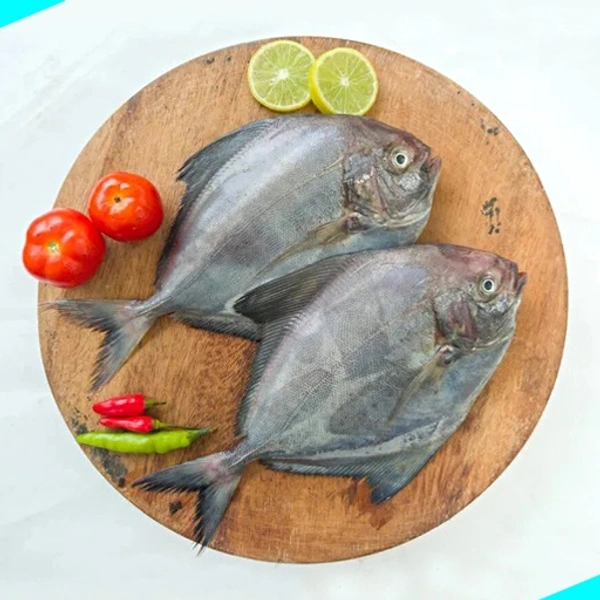 ആവോലി | Pomfret | Avoli - 5KG