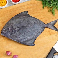 ആവോലി | Pomfret | Avoli - 5KG