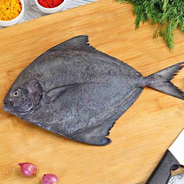 ആവോലി | Pomfret | Avoli - 5KG