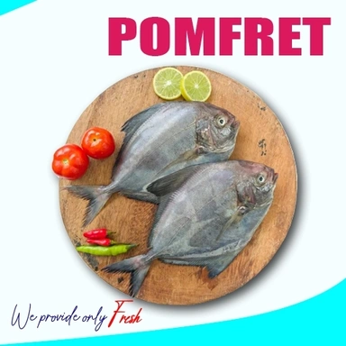 Pomfret | Avoli | ആവോലി