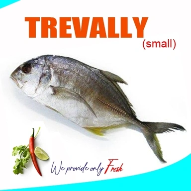 Trevally (small) | പാര (ചെറുത്)