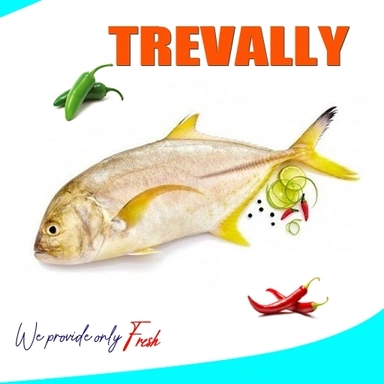 trevally | വേളാപാര