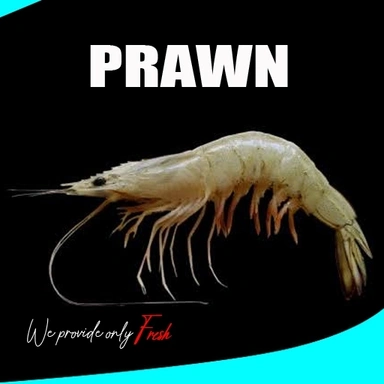 Prawn/Shrimp|ചെമ്മീൻ/കൊഞ്ച്