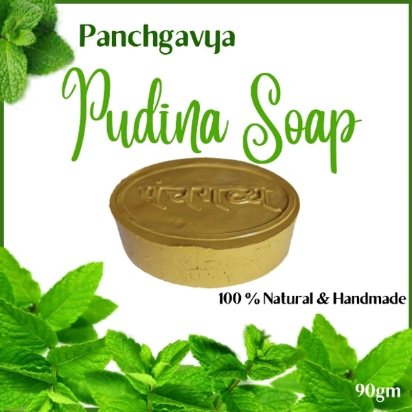GavyaStore Panchgavya Sabun | 100% Natural & Chemical Free (पंचगव्य पुदीना साबुन) - 12 Piece