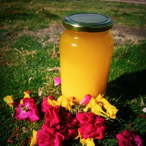 Gir Gomata Vedic Bilona Ghee | Traditional Method (गिर गौमाता का वैदिक बिलोना घी) - 1000 ml