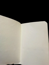 FANCY DIARY 
