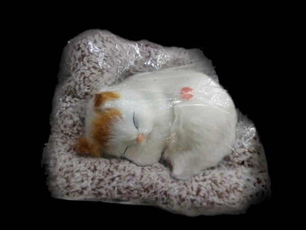 CAT 1