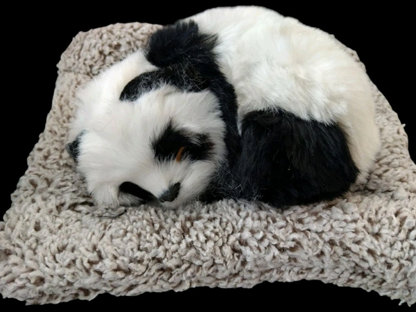 FANCY SOFT 🐼 PANDA 