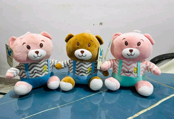 TAKE THE BEAR 30CMSKU : 000824 - 30cm