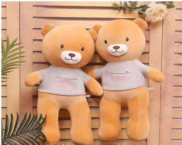 BROWN TEDDY 50CMSKU : 501 - 50cm