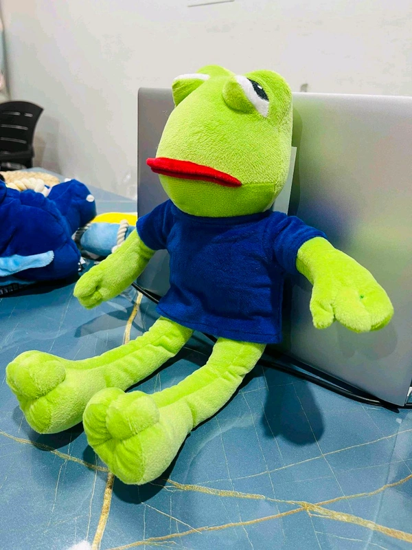 FROG PETS TOYS 40CMSKU : 000890 - 40cm
