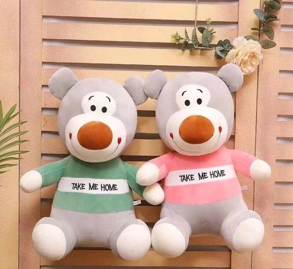 TAKE ME HOME 55CMSKU : 518 - 55cm