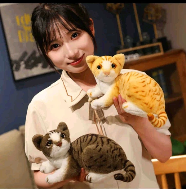 new cat sitting 40cmSKU : A100