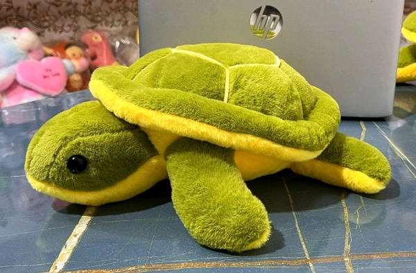 RBT TORTOISE 45CMSKU : 111Available sizes (1)