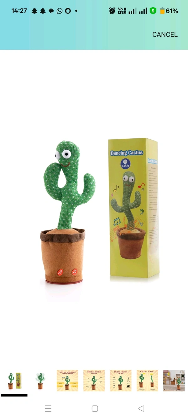 DANCING CACTUS 