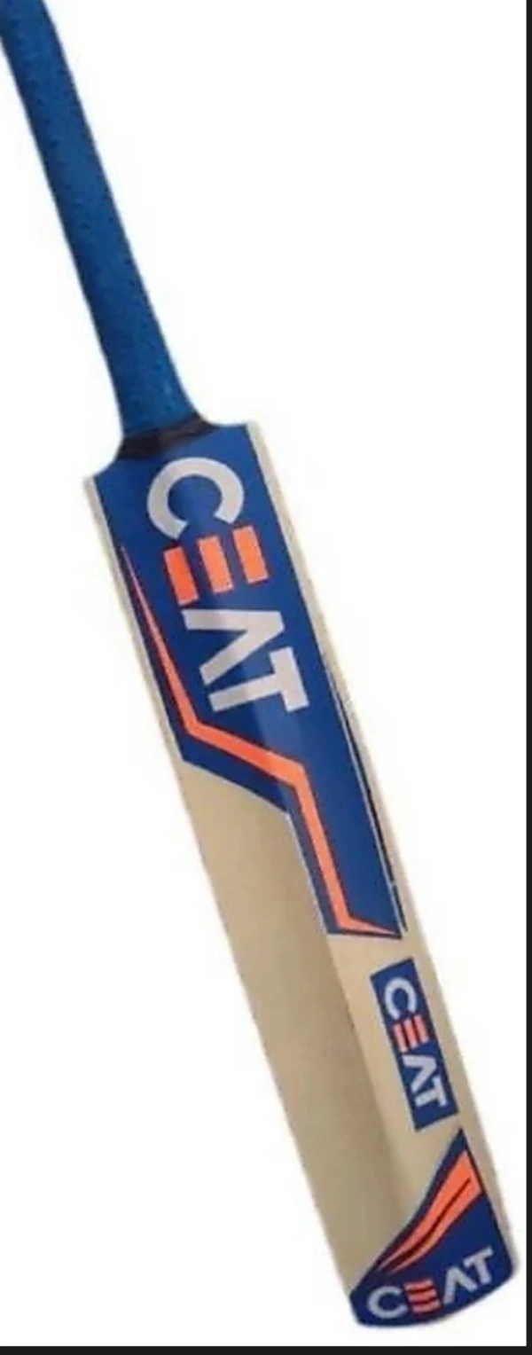 Cricket Bat