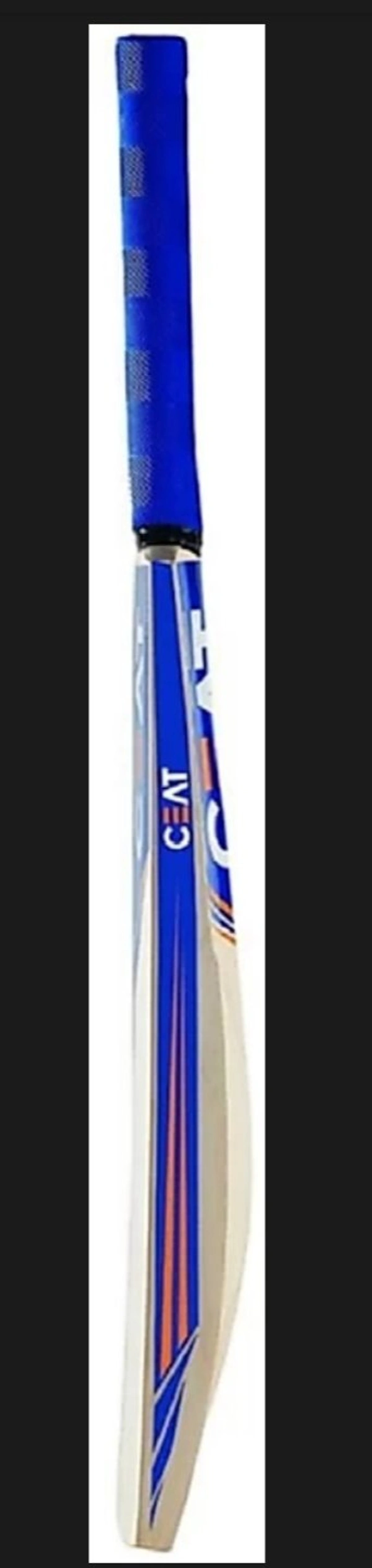 Cricket Bat