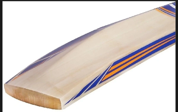 Cricket Bat