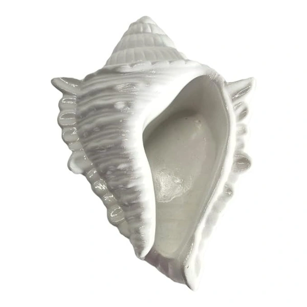 Startup Bazaar Handcrafted Shankh (Conch Shell) Bowl for Home Decor, Living Room, Tabletop Display, Mandir - Trinket Bowl for Jewellery, Indoor Succulent Plant, Candles and Keys