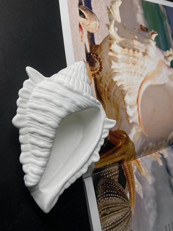 Startup Bazaar Handcrafted Shankh (Conch Shell) Bowl for Home Decor, Living Room, Tabletop Display, Mandir - Trinket Bowl for Jewellery, Indoor Succulent Plant, Candles and Keys