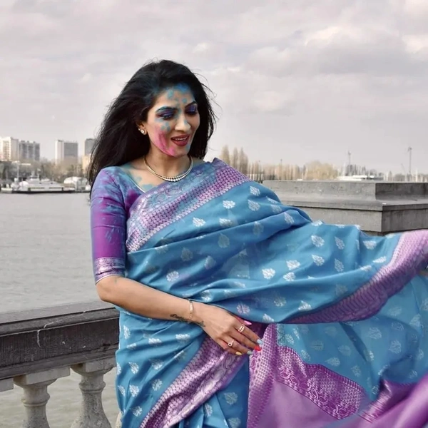 BRISA Banaras Sarees - free size