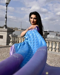 BRISA Banaras Sarees - free size