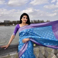 BRISA Banaras Sarees - free size