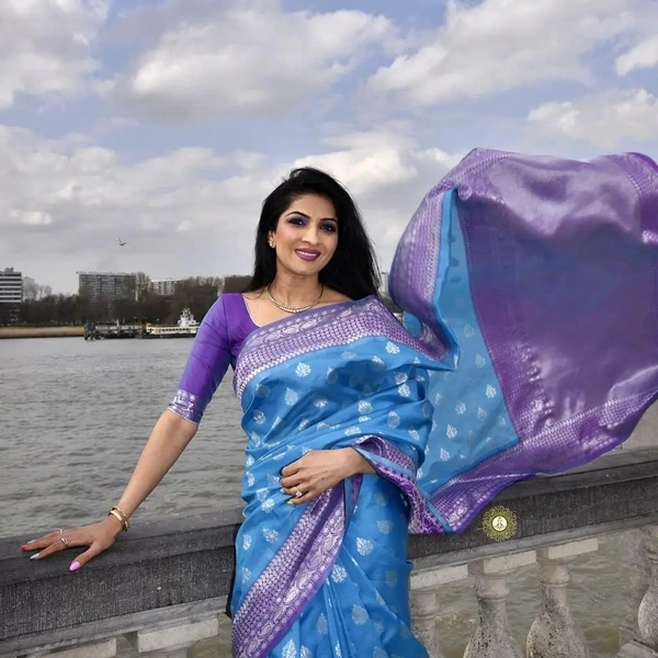 BRISA Banaras Sarees - free size
