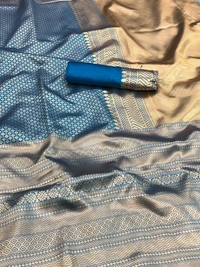 BRISA Women's Banarasi Sarees