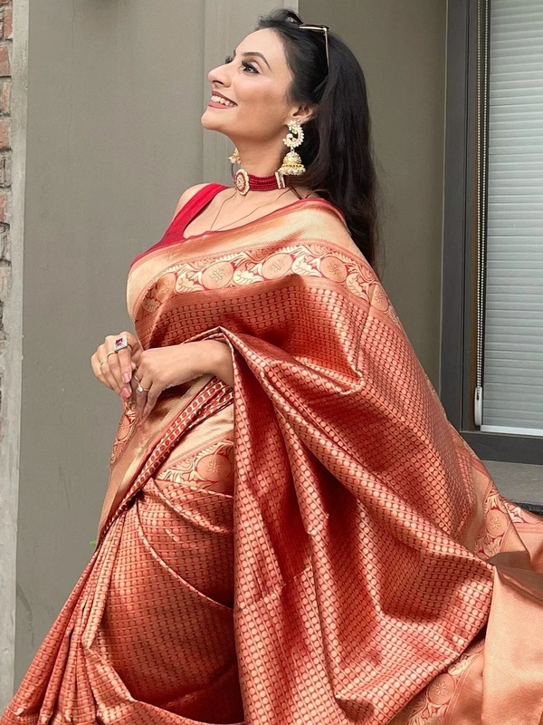BRISA Lichi Silks  Sarees