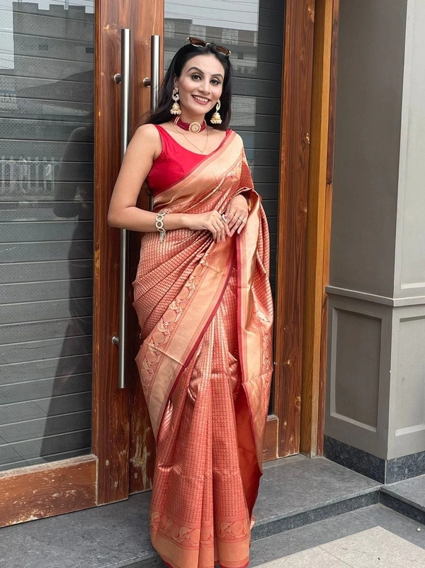 BRISA Lichi Silks  Sarees