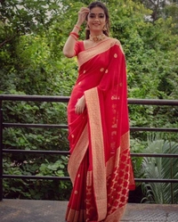 BRISA Lichi Weaving Soft Silk Cloth