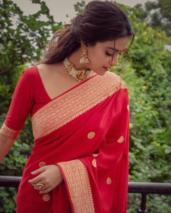 BRISA Lichi Weaving Soft Silk Cloth
