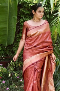 BRISA Banarasi Sarees