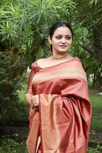 BRISA Banarasi Sarees