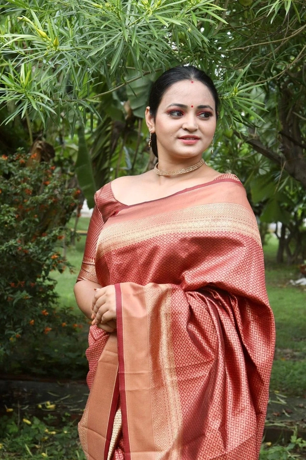 BRISA Banarasi Sarees