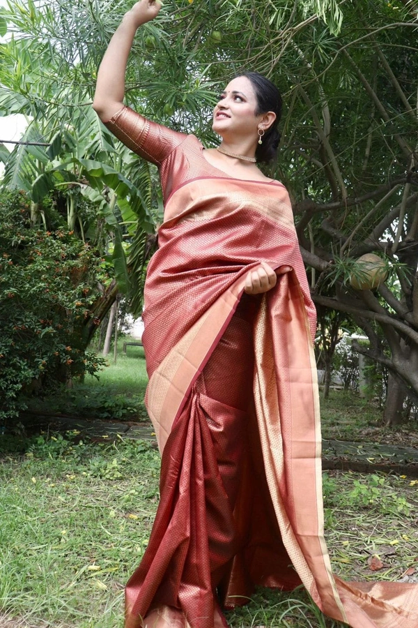 BRISA Banarasi Sarees
