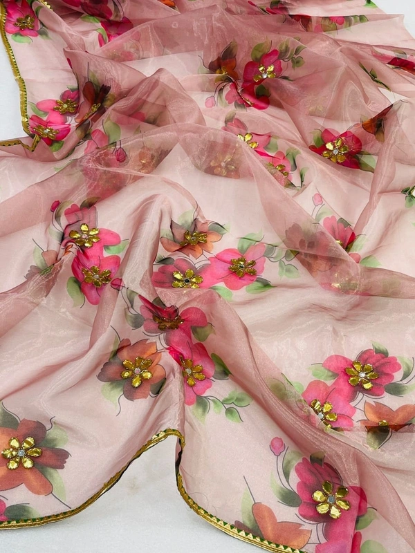 BRISA Soft Organza Sarees
