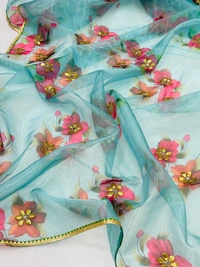 BRISA Soft Organza Sarees
