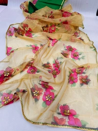 BRISA Soft Organza Sarees
