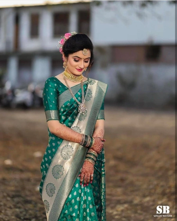 BRISA Soft Lichi Banarasi Sarees