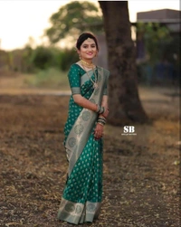 BRISA Soft Lichi Banarasi Sarees