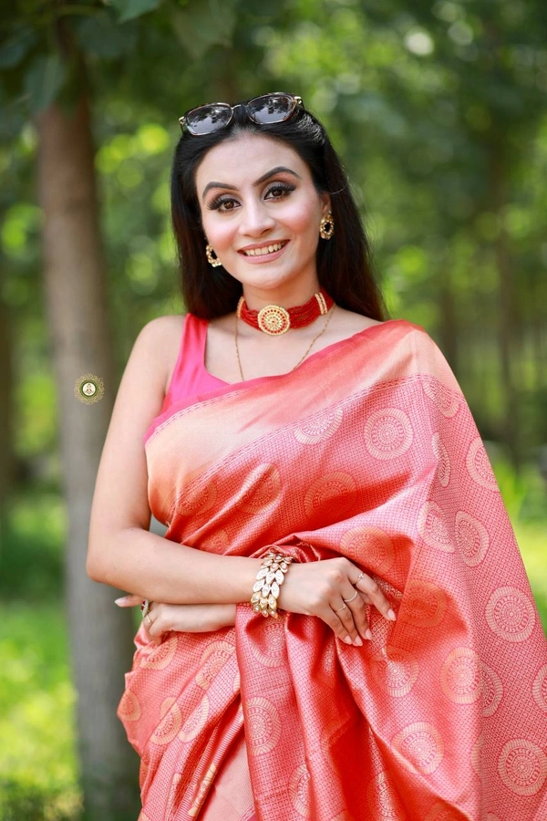 BRISA  Women's Soft Silk Sarees