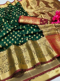 BRISA LICHI Silk Saree 