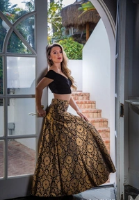 BRISA Banarasi Zari Lehenga Choli