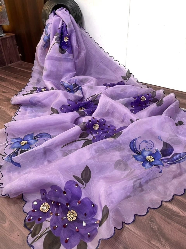 BRISA Pure Organza Handwork Sarees